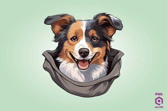 Australian Shepherd Dog Inside Pocket