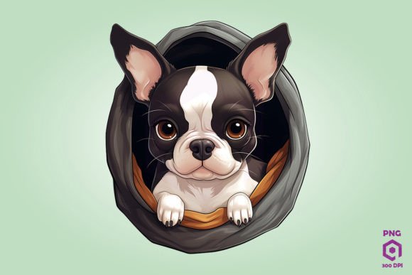 Boston Terrier Dog Inside Pocket