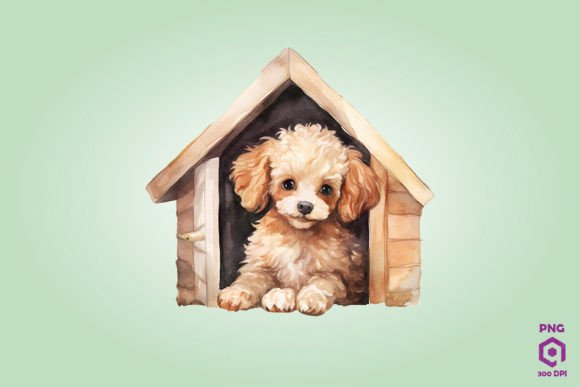 Poodle Dog Lie in House